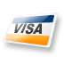 visa card for payment